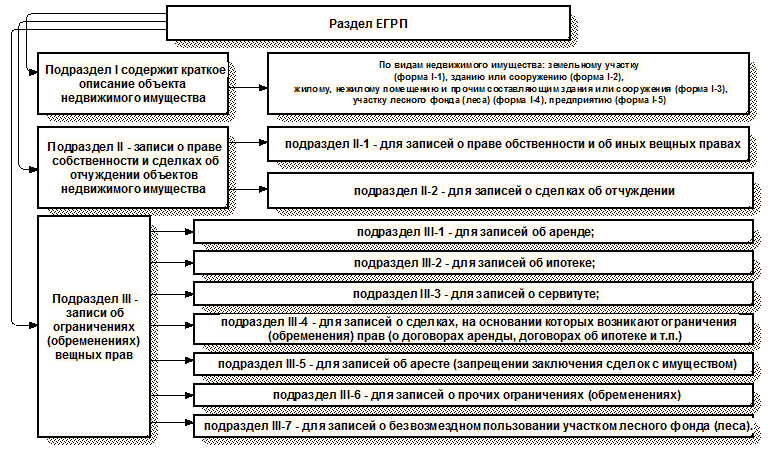 Структура раздела ЕГРП